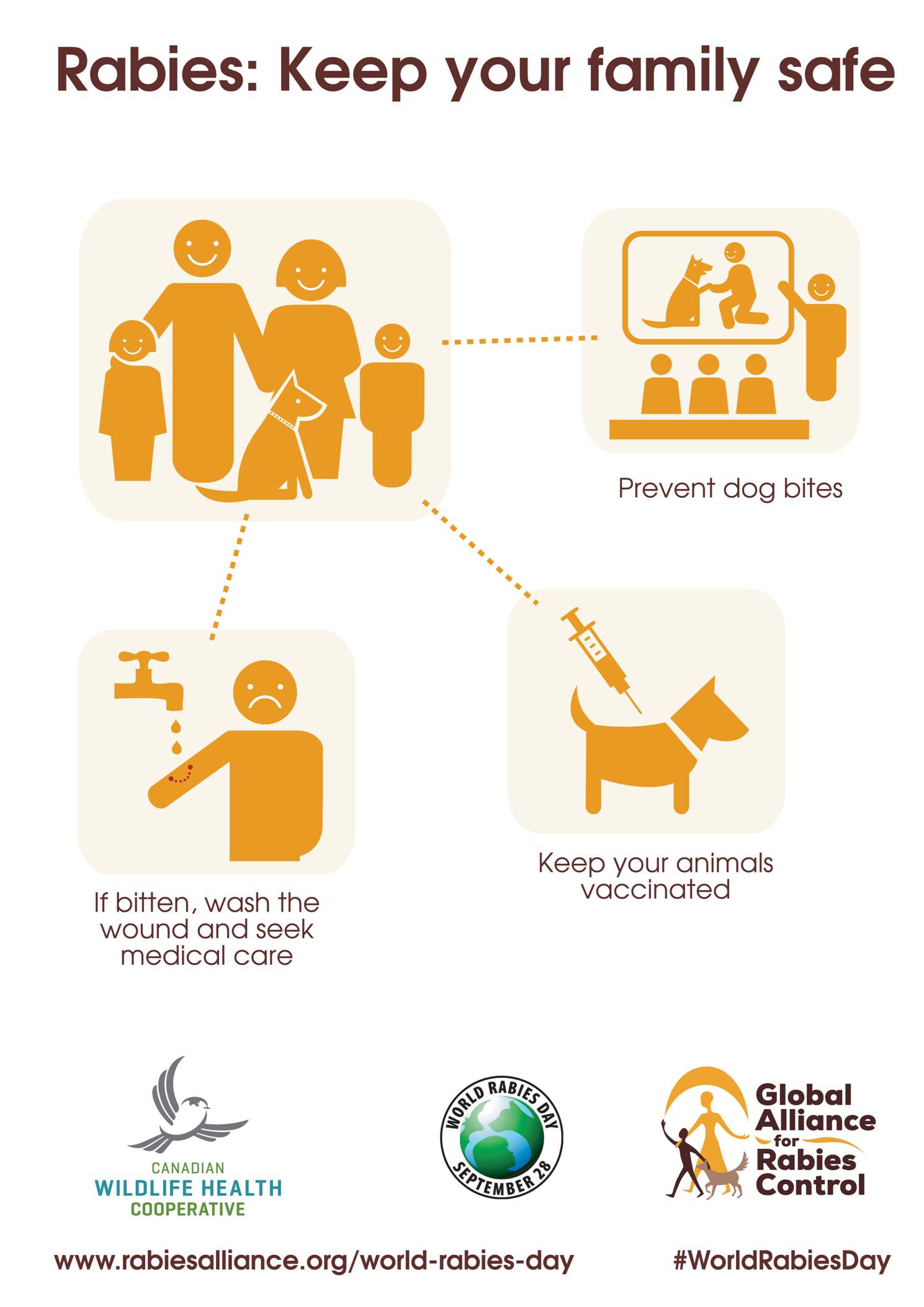 2 simple ways to prevent the spread of rabies - Healthy Wildlife